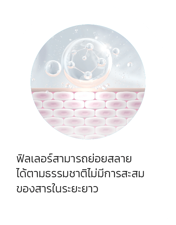 ฟิลเลอร์สามารถย่อยสลาย
